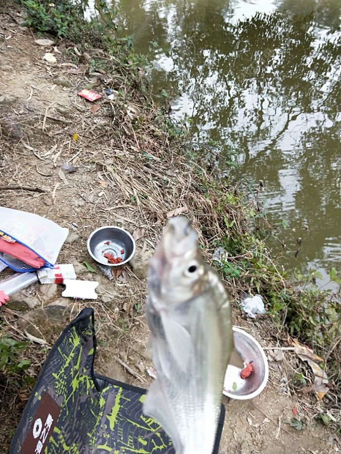 IMG20180202150414.jpeg