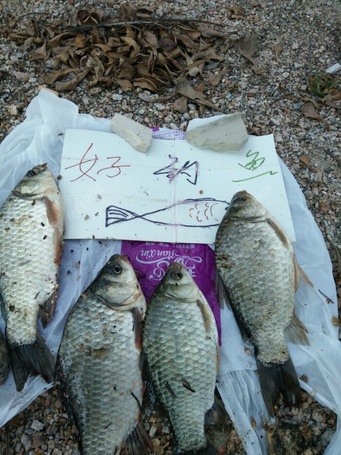 IMG20180311143816.jpeg