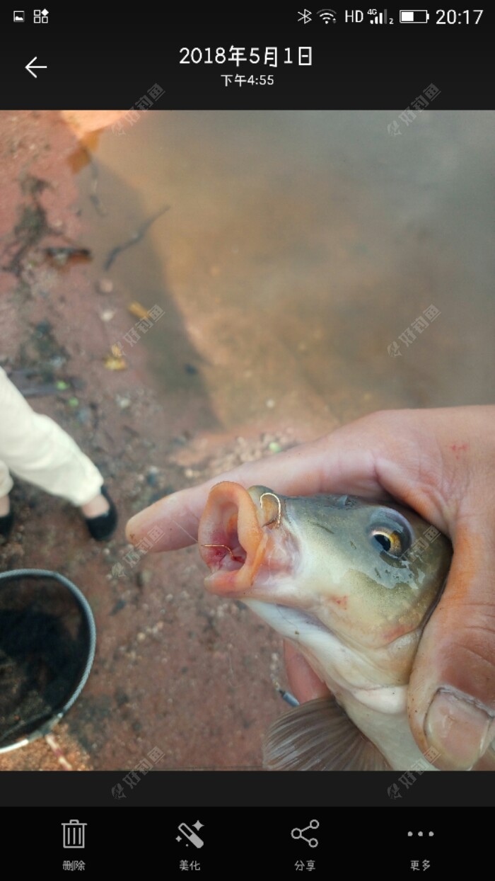 小钩子钩了这么一点肉,你也够给她面子了,如果是我你就发力跑了是吧。