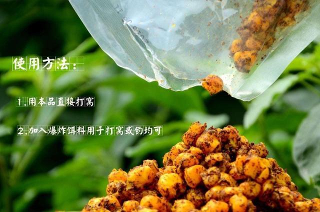 伏天我只用这鲤鱼饵,百试百灵,浮漂瞬间被拉黑