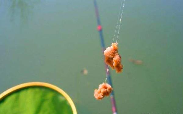 用拉饵钓鱼应该如何调漂?判断双饵到底还是单饵到底