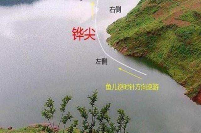 九月钓鲢鳙鱼的一些基本作钓技巧,解决不好钓问题