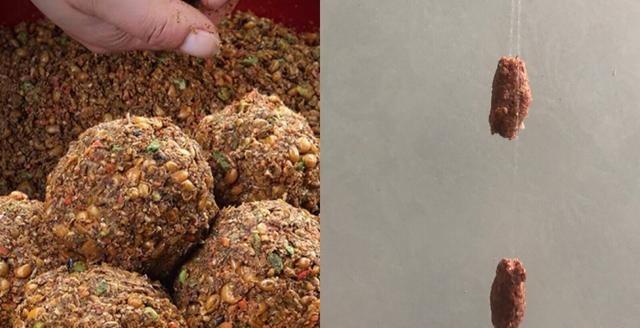 高手详细分析,垂钓青鱼该如何选择饵料