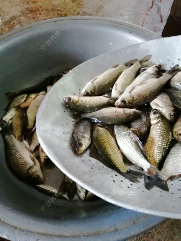 不惧风起,固守昨天钓点