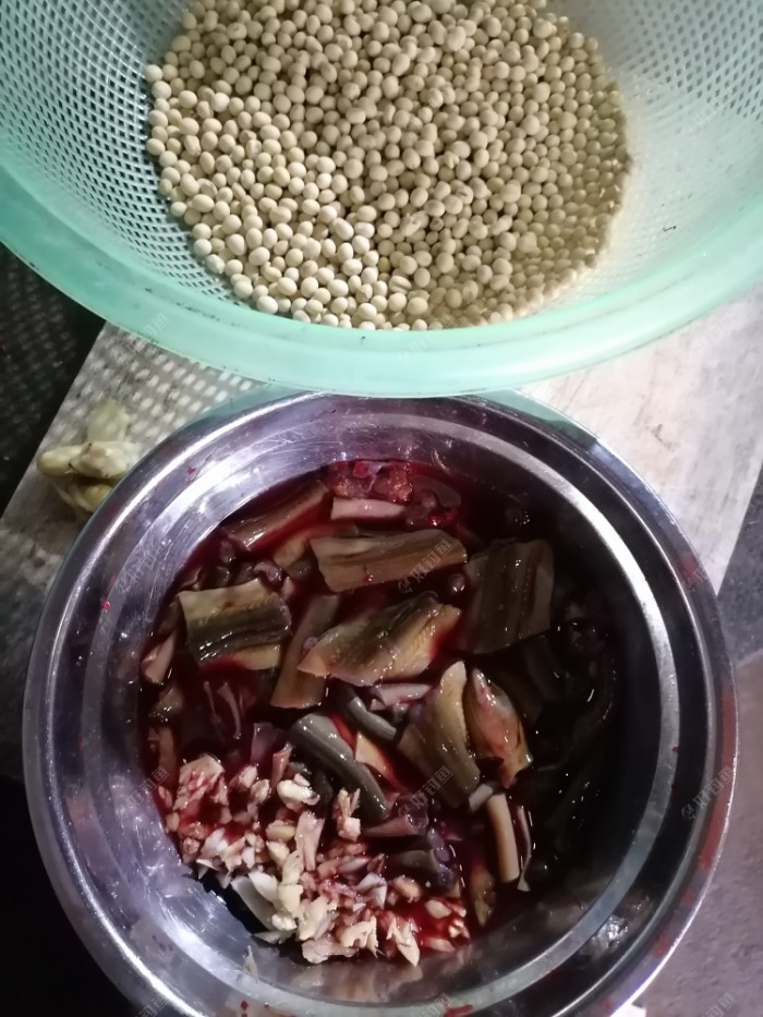 白天钓鱼，晚上扫黄
