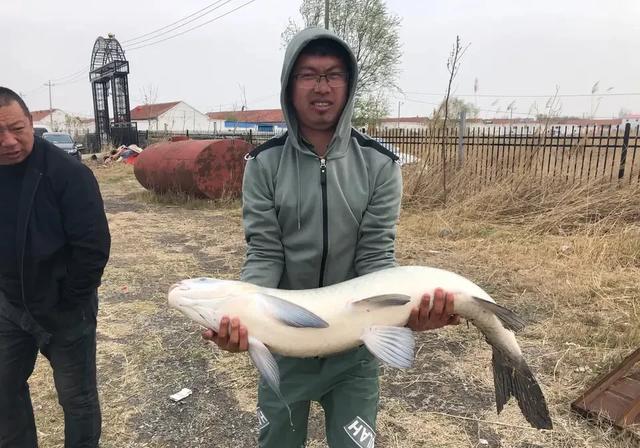 作为钓鱼人你必须知道四季鱼情小药搭配