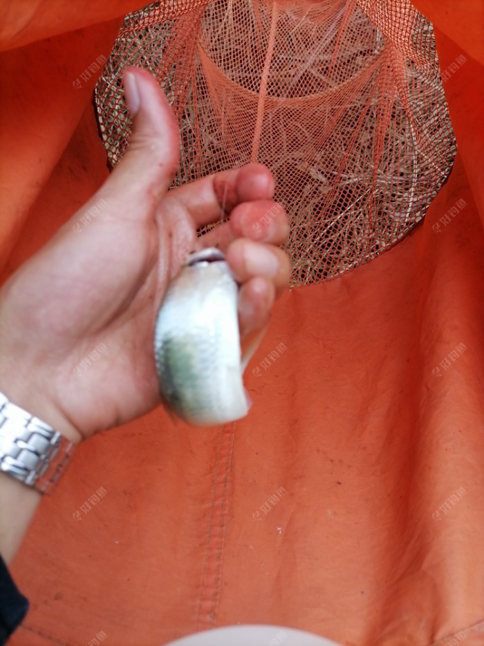 大雨过后终狂口