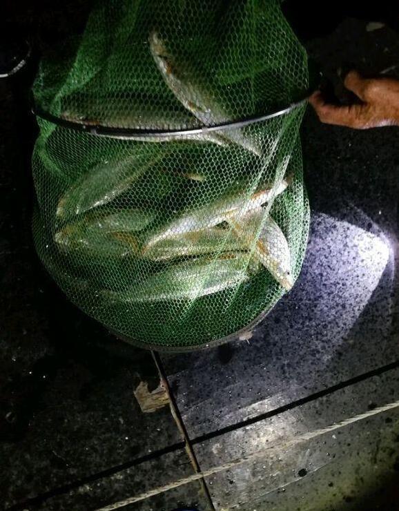筏钓翘嘴如何使用灯光?我教你