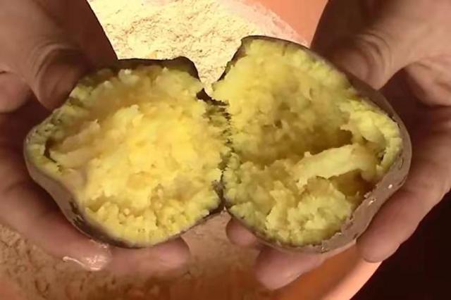 这4种天然小药,简单实用,关键鲫鲤鱼特爱吃