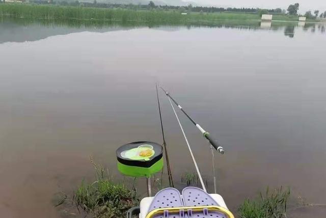 怪不得鳊鱼比鲫鱼好钓,换用这3招就对了