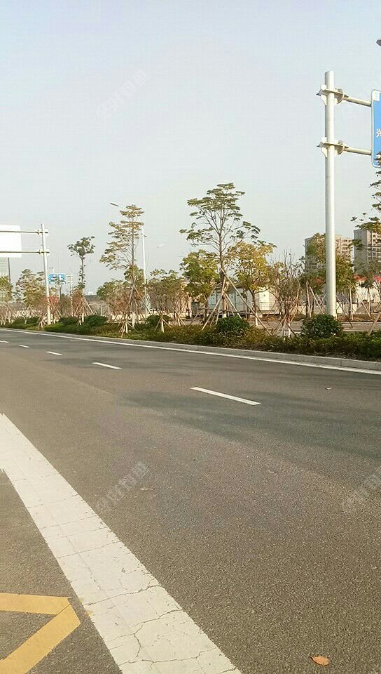 风景宜人。