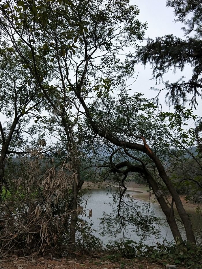 IMG20180202073416.jpeg