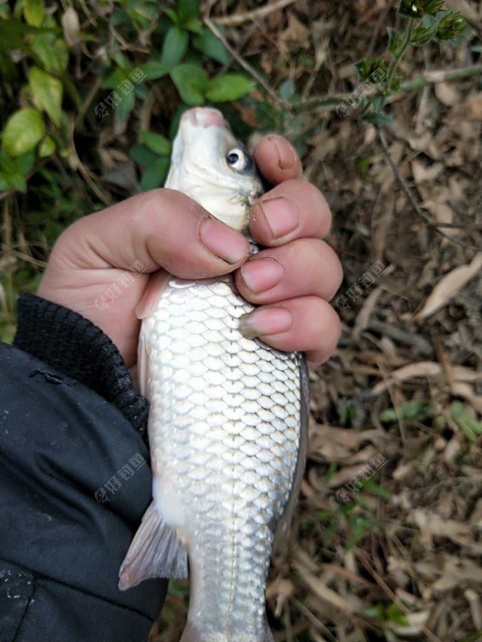 IMG20180202090911.jpeg