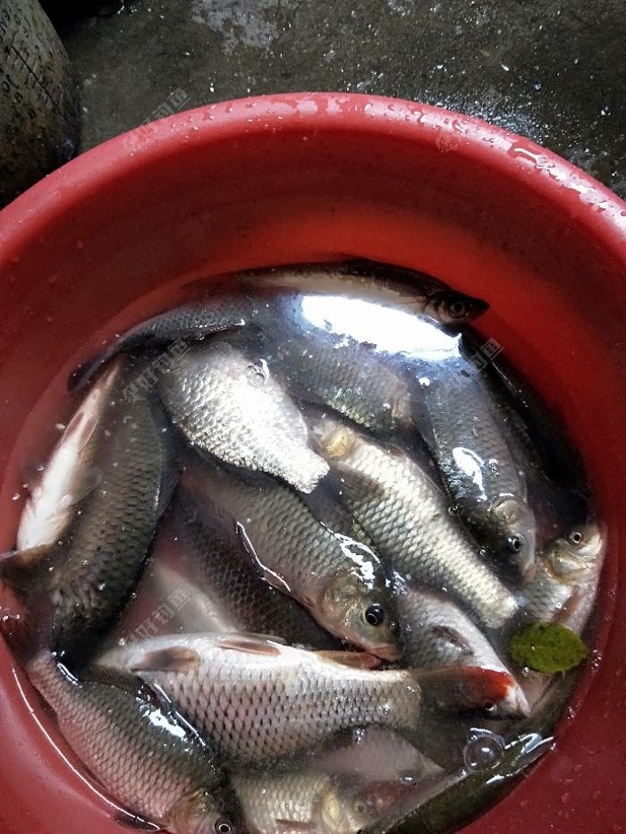 IMG20180202163646.jpeg
