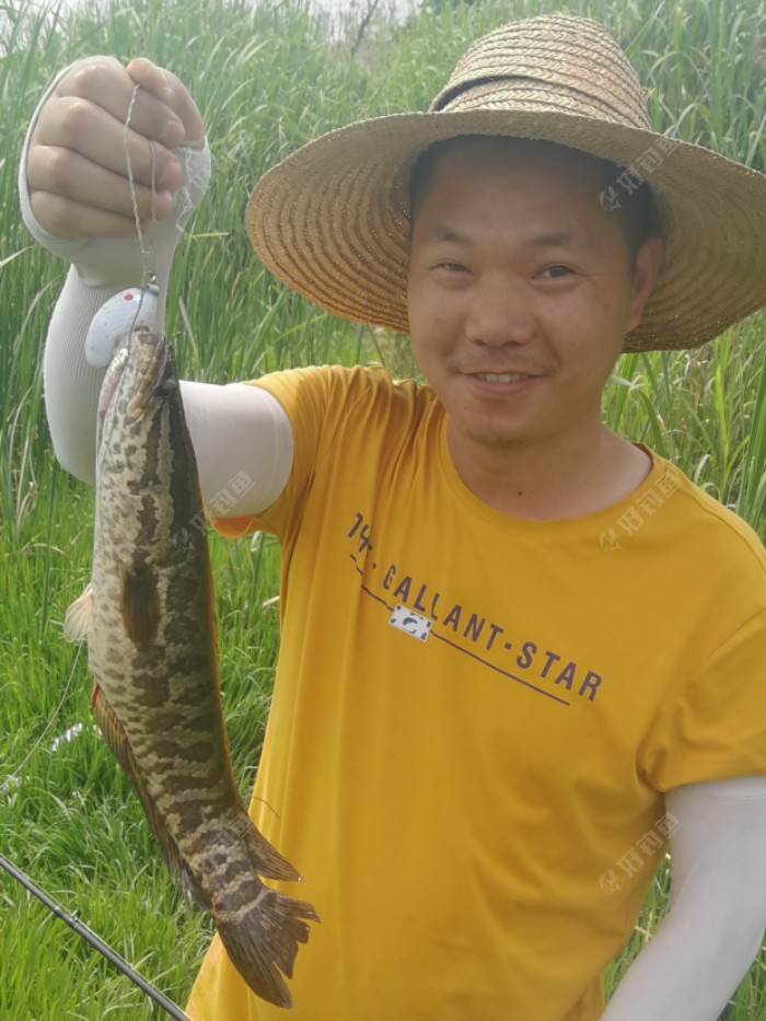 2019雷强之八,有空甩几杆,光秃小水面