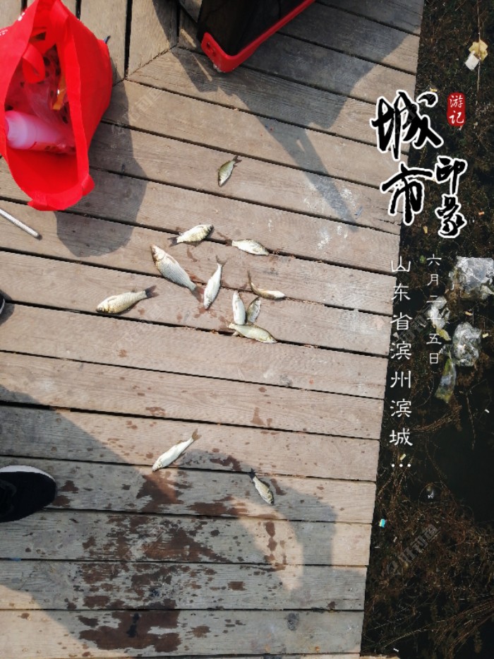 惊险刺激,依旧与大物有缘无份