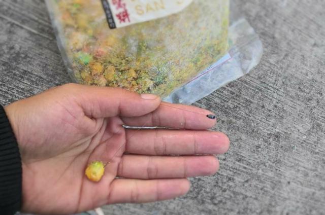 这才是玉米饵最牛的用法秘诀,猛拔鲤鱼十拿九稳