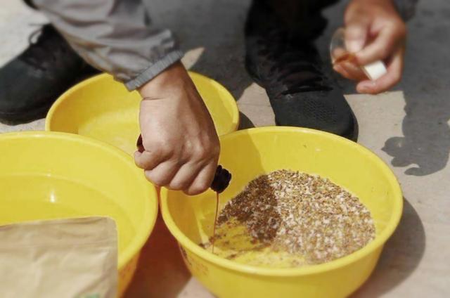 秋天野钓的时候,可以在开饵时添加的一些辅料