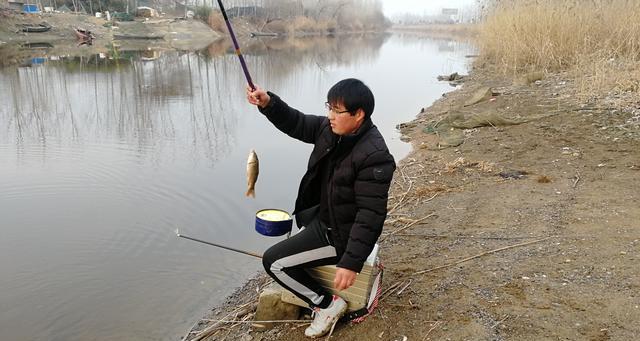 冬钓小鲫鱼,必用的三种饵料,你都用对了吗