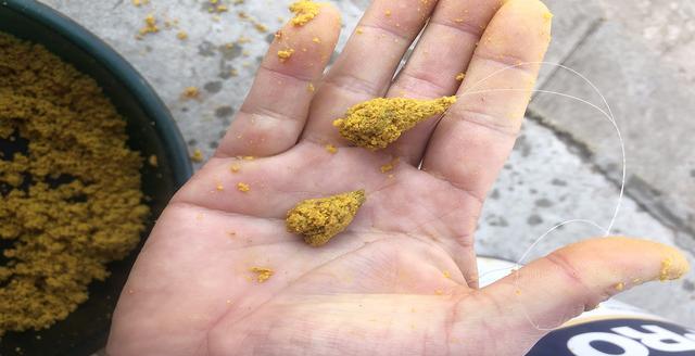要想渔获多,掌握5个开饵原则,3个注意事项