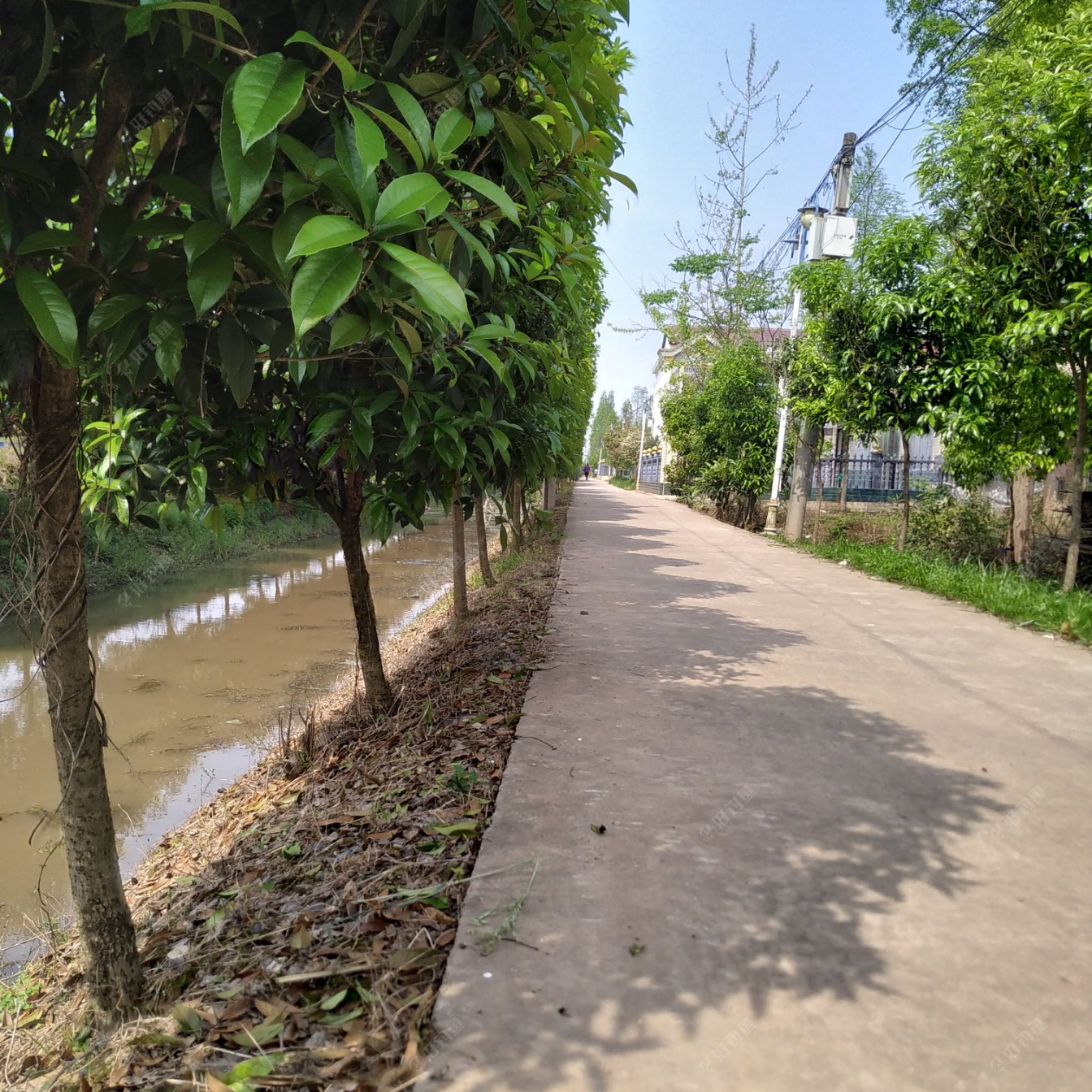 一天二钓 鱼不开口中两条