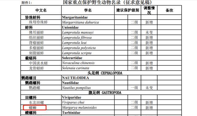螺蛳被列为国家保护动物，钓青鱼还能用吗