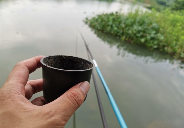 商品饵没口,一换蚯蚓就中鱼,这种现象你遇到过吗