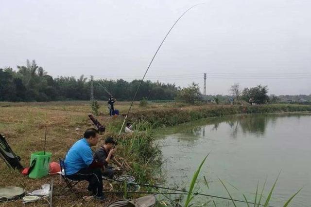 立秋后,万万不能小瞧这鳊鱼钓法