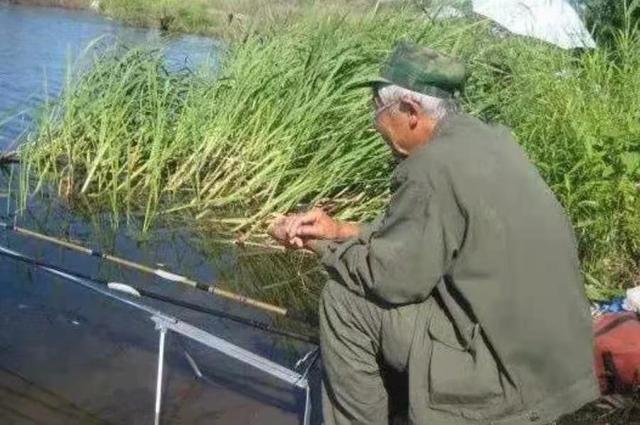 就这鲤鱼饵还值200块?老钓手被惹怒:一千块都不卖你