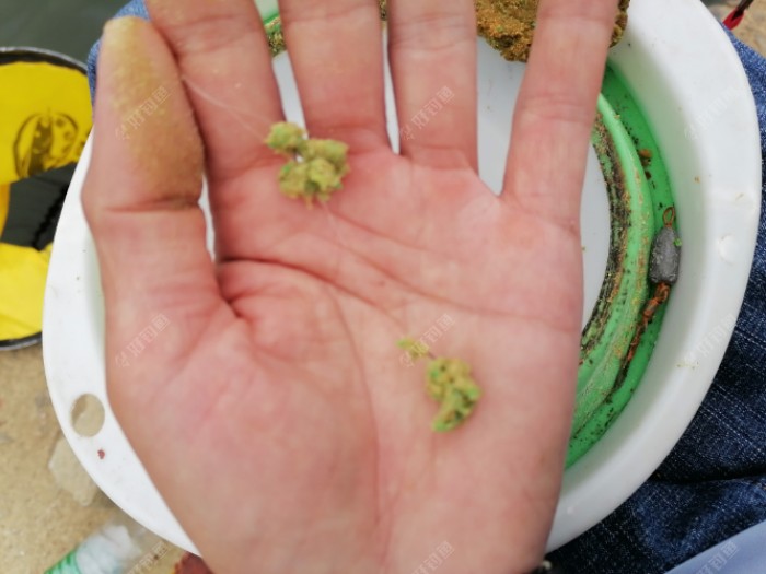 简单的调漂方法,了解双钩水底状态