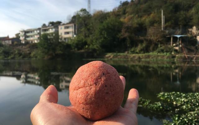 螺鲤加上918,夏季钓鲤鱼就这样开饵