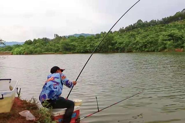 这钓法用上后,鳊鱼再大也难逃一劫