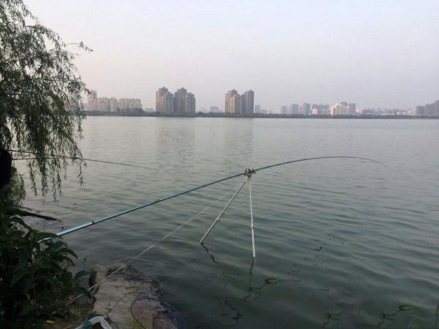 钓龄越长鱼竿越短？事实上并不科学
