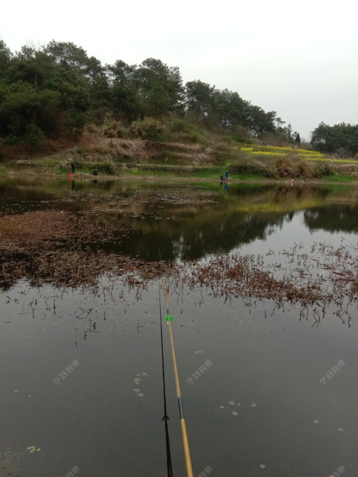 [春季探钓] 蒙蒙细雨还降温除了鲢鱼我空军