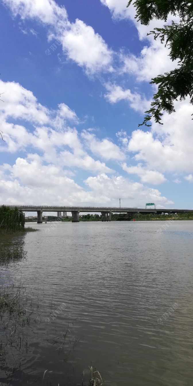 专钓惊艳土鲮，奉上味美佳肴