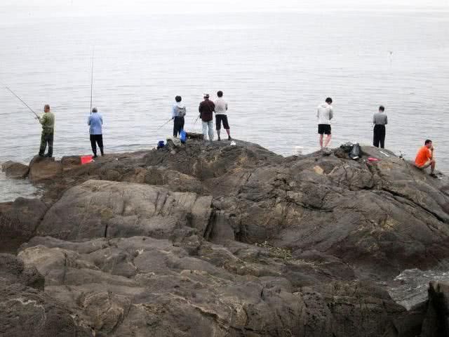 海边钓此鱼，大连人叫它“鲐鲅鱼”