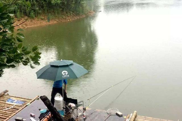 夏季雨天钓鱼的钓法绝招,一般钓鱼人学不来