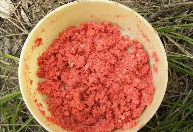 钓鱼如何正确的抽窝?饵料的状态