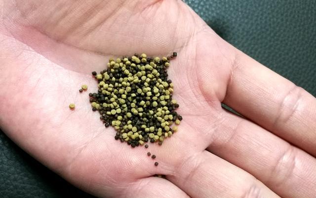 反状态开饵法:浮水颗粒不浸泡,实现立体诱钓出全效