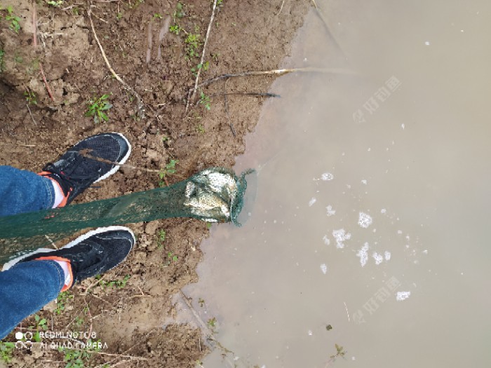 踏青节钓鱼带娃两不误 同乐