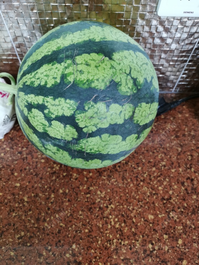 上班前赶早第43场，钓友说我是鳊鱼杀手你们认同么