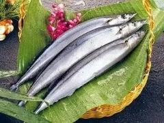 可与长江刀鱼媲美的黄河刀鱼，绝迹30年后现身