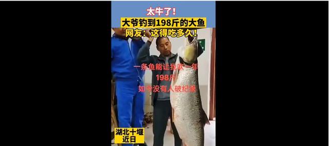 湖北十堰，老大爷钓获198斤水老虎