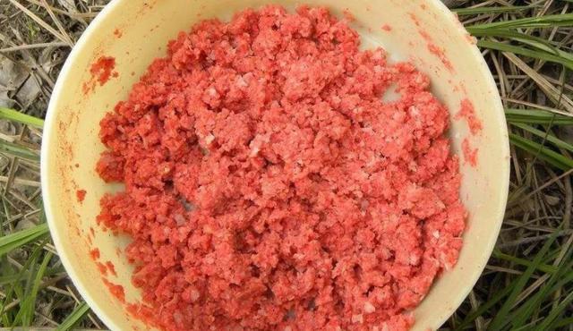 饵料的状态你掌握了吗?学会了每次钓鱼事半功倍