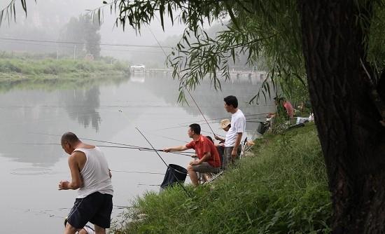 为何“泥鳅钓”犯众怒？被抓后要刑拘？