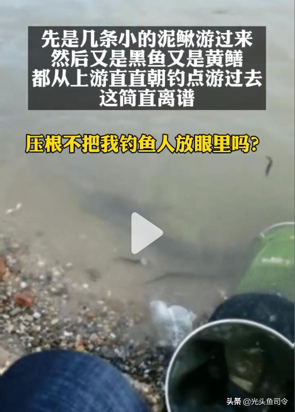 从冬季能放生泥鳅、黄鳝，牵扯出放生者极力隐藏的“放生”计划