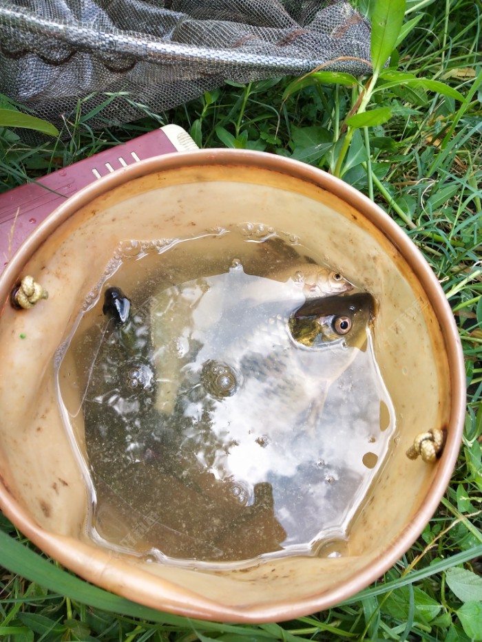 小长假，江湖猎人来助兴