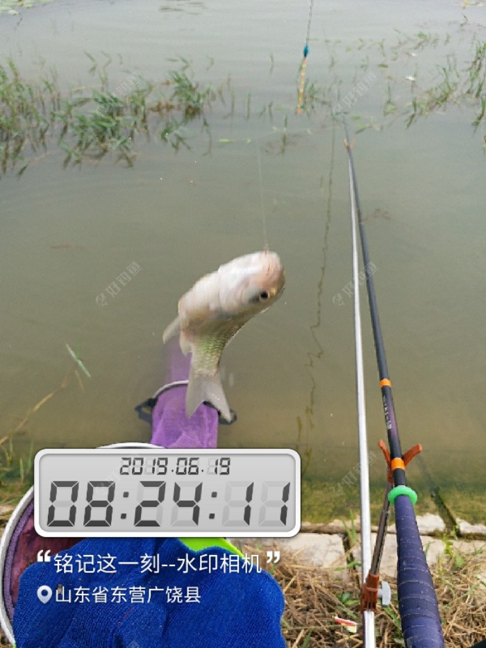 再战济青河,鱼获还可以