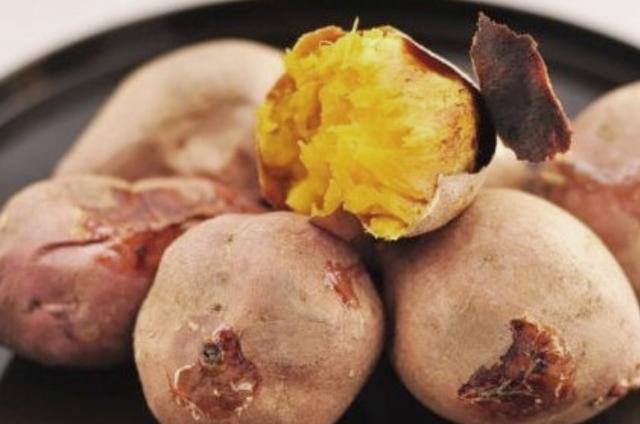 三伏天钓鲫鱼鲤鱼的红薯饵料配方,实测效果佳