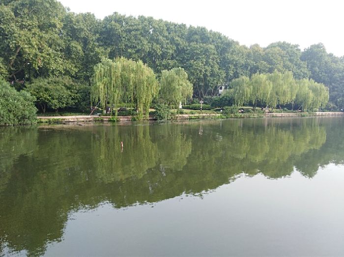我对状态饵浅识和实操